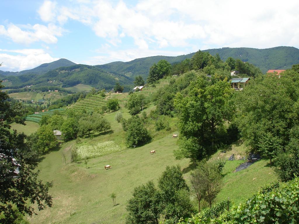 Hisa Korazija